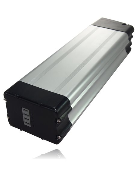 E-bike SilverFish 48V 14,5Ah