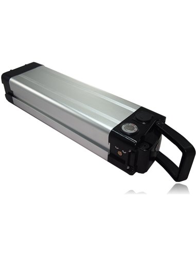 E-bike SilverFish 48V 17Ah