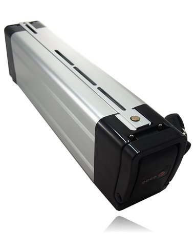 E-bike SilverFish 48V 17Ah