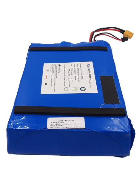 Rigenerazione baterii Manta 36V