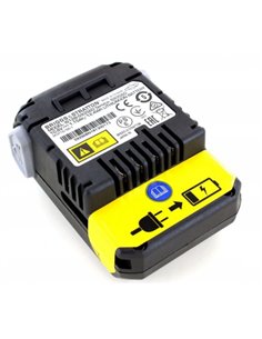 Rigenerazione Briggs&Stratton 10,8V 2