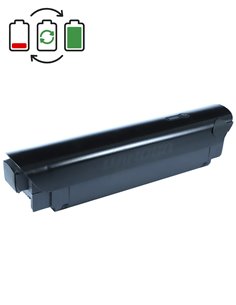 Rigenerazione batteria TranzX BL20 36V