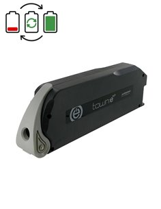 Rigenerazione batteria TranzX BL05 24V