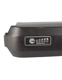 Giant Energypack 400 36V Akku-Regeneration 2