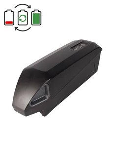 Giant Energypack 500 36V Accu Regeneratie