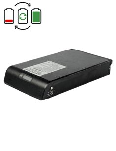 Acecycles 25,2V Akku-Regeneration