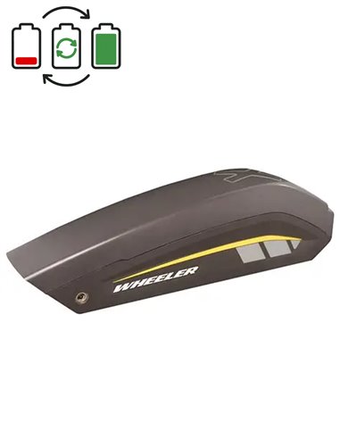 Regeneración batería BionX 48V