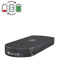 Regeneratie Tianneng 24V accu