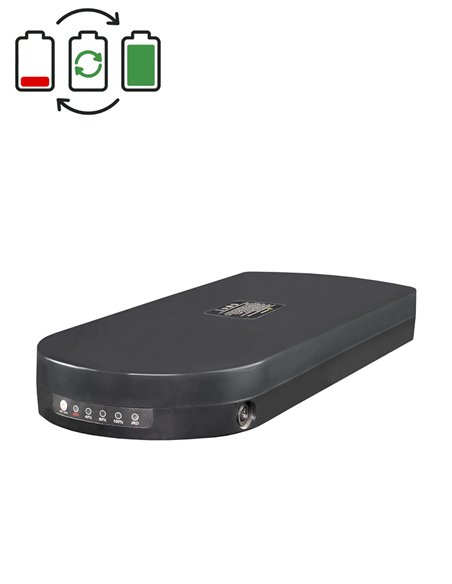 Régénération batterie Tianneng 24V