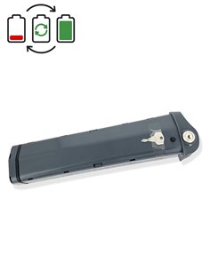 Régénération batterie BMZ 36V