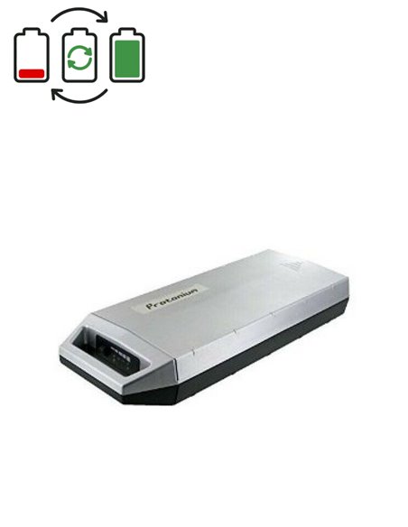 Rigenerazione batteria Protanium 29,4V