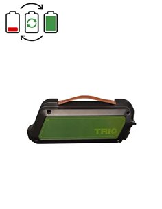 Regeneratie Prophete Trio 36V accu