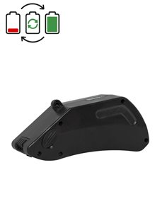 Regeneración batería Panterra victoria 25V