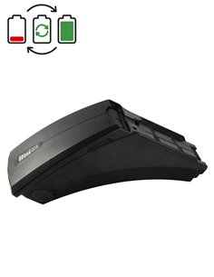 Regeneración batería Panterra ED3 36V