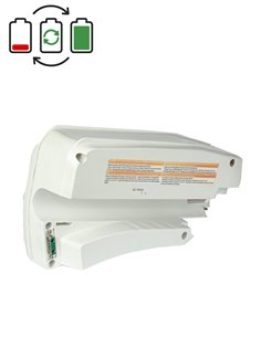 Rigenerazione batteria BionX 48V