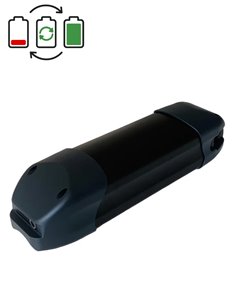 Regeneración batería BMZ 36V