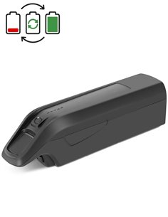 Rigenerazione batteria Prophete ZZ131 36V