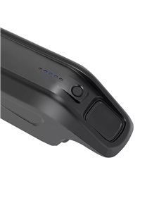 Akku-Regeneration Prophete ZZ131 36V 2